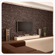 Audio & Video